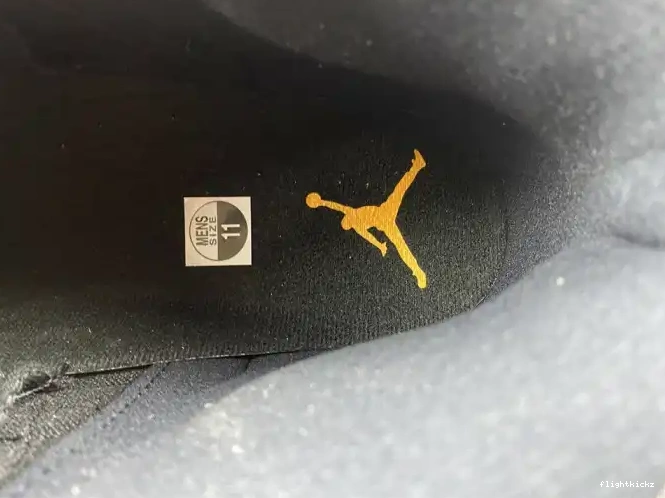 Taxi Jordan Black Air 12 CT8013-071 0626